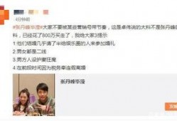 卓伟爆料大瓜视频大全最新,大瓜视频大全，娱乐圈风云再起