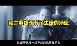 二爷最新爆料消息今天,揭秘娱乐圈最新动态，真相令人震惊！