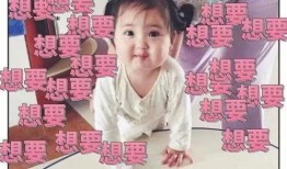 吃瓜娱乐小崽崽小说,小崽崽的娱乐圈奇遇记