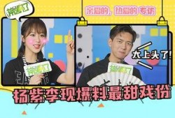 采访爆料人视频大全,真实事件背后的惊人内幕