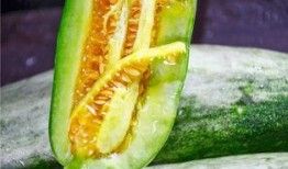 吃自己瓜的网红,网红吃瓜背后的网络现象解析