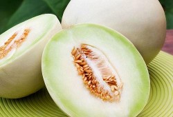 网红吃白兰瓜视频在线观看