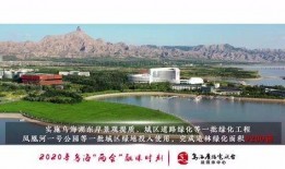 乌海市爆料视频,揭秘城市生活背后惊人真相