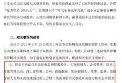 叶飞最新爆料股,揭秘股市风云再起