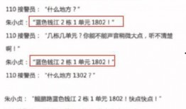 石家庄高邑最新爆料案件,真相背后，正义何在？