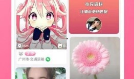 冰神最新爆料视频下载,神秘视频内容深度解析