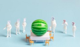 2022娱乐吃瓜汇总,盘点年度吃瓜盛宴