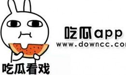 吃瓜网红黑料软件,吃瓜软件背后的真相与争议