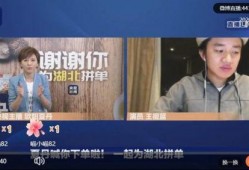 湖北网友爆料新闻视频下载,湖北网友爆料新闻视频引发热议