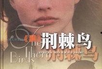 电影荆棘鸟在线观看,穿越时光的深情守望
