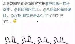 2022娱乐吃瓜汇总,盘点年度吃瓜盛宴