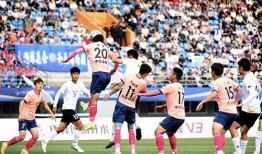 炮击女主播在线观看,网络暴力下的生存挑战