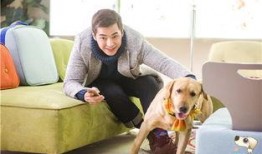 神犬小七在线观看免费,免费在线观看，萌犬奇遇记