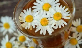 氧化菊最新爆料视频,揭秘神秘事件背后真相