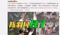 蔡向阳的遗孀爆料视频,视频曝光背后的真相