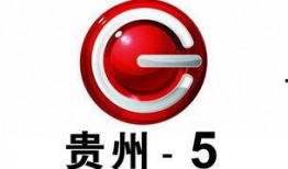 贵州6台直播在线观看,实时领略多彩贵州风情