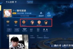 无土影继承人爆料视频,揭秘神秘家族传承之谜