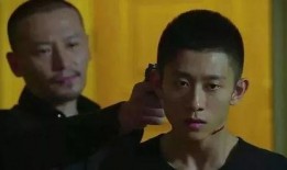 余罪全集在线观看免费,揭秘警界风云，正义与罪恶的较量