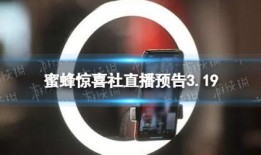 蜜蜂直播间员工爆料视频,揭秘幕后真相与内幕操作