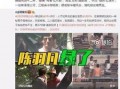 洪大炮爆料村长视频大全,村长视频大全背后的惊人真相