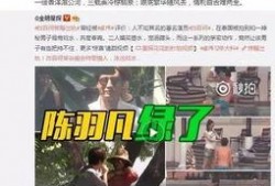 洪大炮爆料村长视频大全,村长视频大全背后的惊人真相
