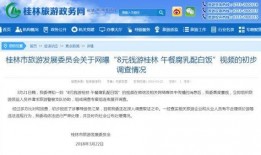 无锡导游爆料事件视频,揭秘背后的真相与争议