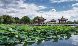 长春南湖公园最新爆料,绿色休闲新地标亮相