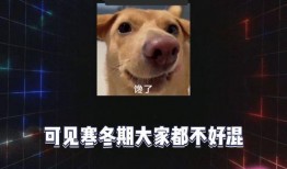 吃瓜的娱乐,吃瓜群众揭秘明星幕后故事