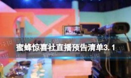 蜜蜂直播间员工爆料视频,揭秘幕后真相与内幕操作