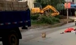 杞县车祸最新爆料五里河,最新爆料揭示惊人真相